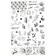 Stamping Plate "Plus size" № 06 (9.5x14.5cm)