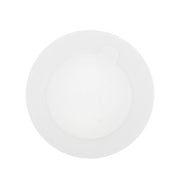 Disposable Polycarbonate Glue Stickers (30 pieces per pack)