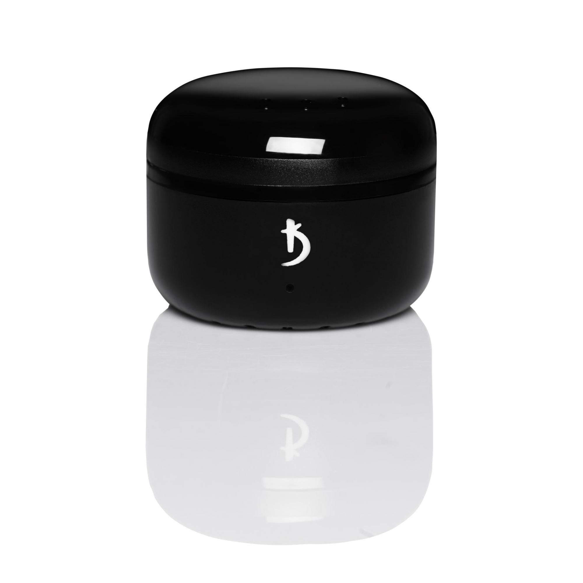Mini wax melter model SS-2305