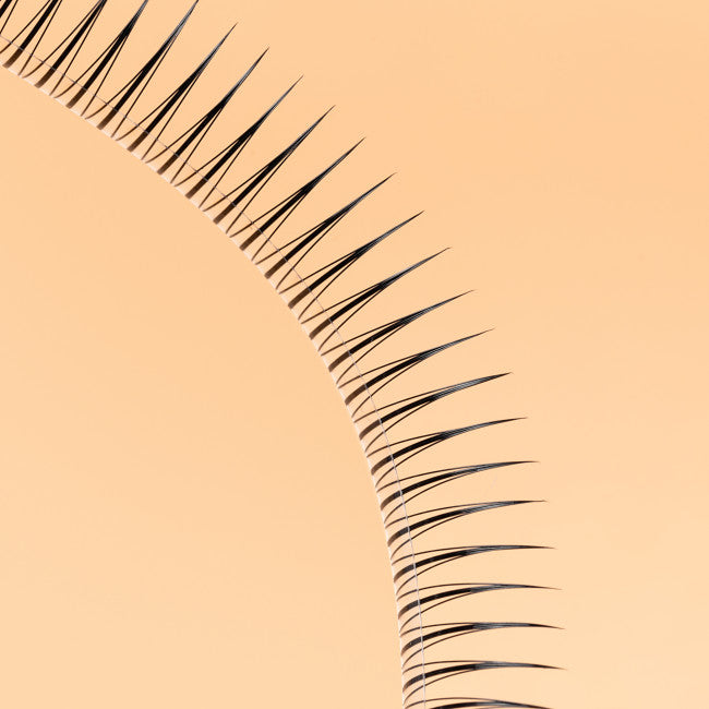 Eyelash Extensions DIY LASHES 08A C 0,07 (8 mm, 10 mm, 12 mm)