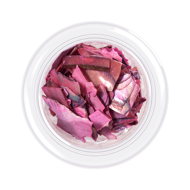 Shell for nails Shells style, shade No.10, 3 g