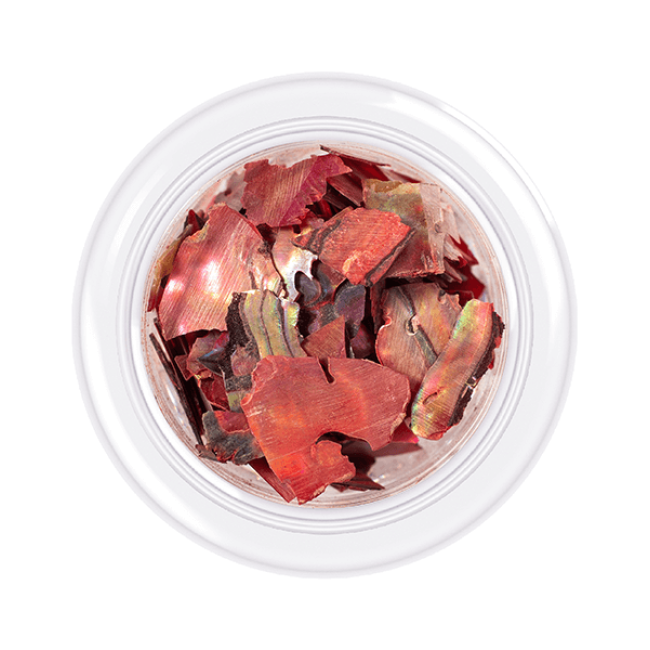 Shell for nails Shells style, shade No.10, 3 g