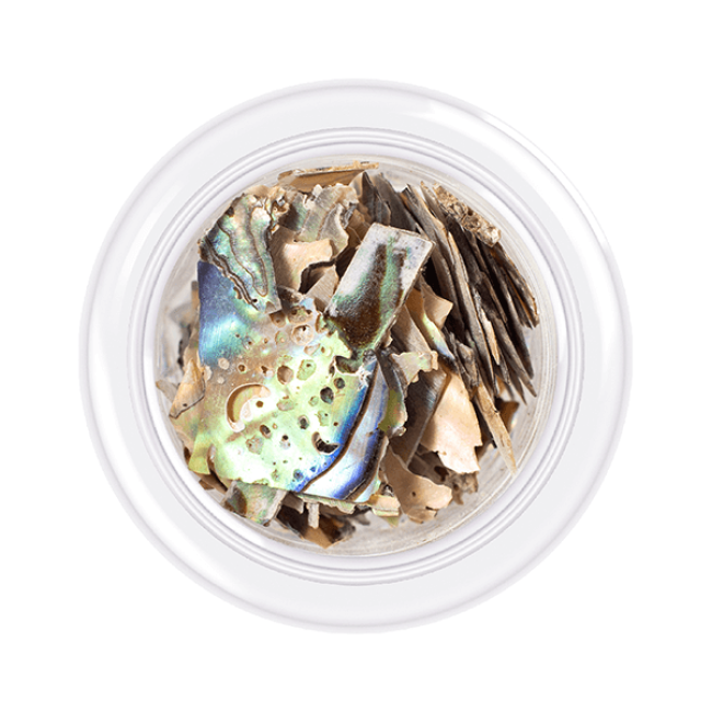 Shell for nails Shells style, shade No.10, 3 g