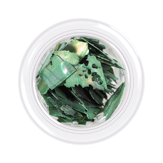 Shell for nails Shells style, shade No.10, 3 g