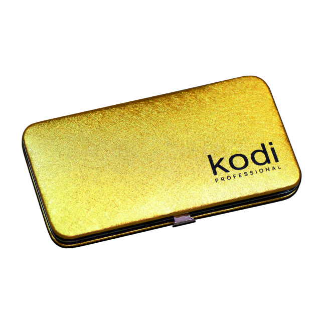 Case for Magnetic Tweezers Kodi Professional, Color: Gold