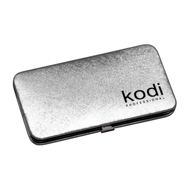 Case for Magnetic Tweezers Kodi Professional, Color: Silver